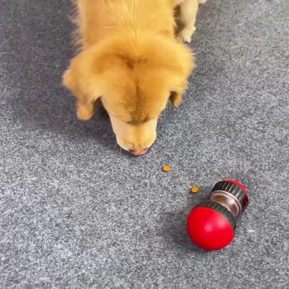 Etkileşimli Köpek Oyuncağı- Ödül Dağıtıcısı